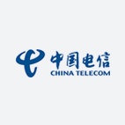 中国电信（沙特）有限公司