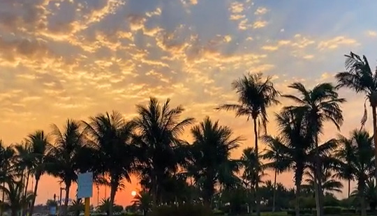 沙特风土人情|第二故乡--延布