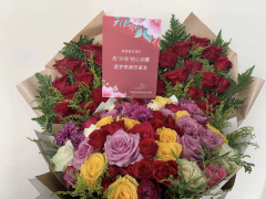 驻沙特使馆祝愿国足：战“沙场”初心如磐，逐梦想踔厉奋发