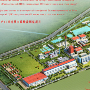 白俄罗斯纸浆厂项目